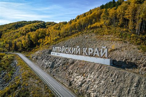 Сезонные перемещения синичек в Алтайском крае