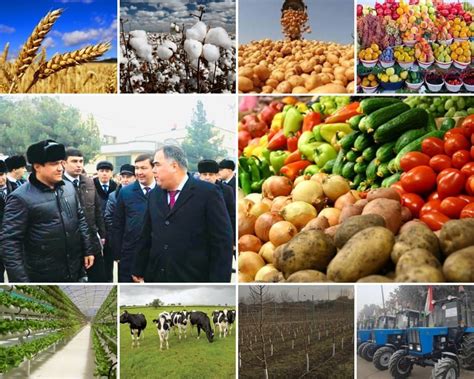Сельское хозяйство в прошлом