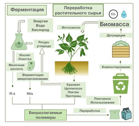 Сентябрь: биологическая переработка и применение
