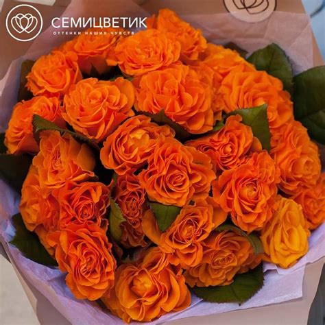 Символика оранжевых роз в разных культурах: