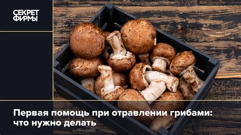 Симптомы, по которым можно определить отравление грибами