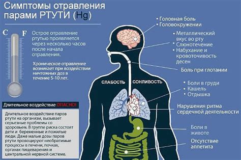 Симптомы отравления запахом ртути