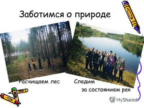 Следим за состоянием когтей самостоятельно