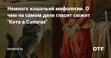 Смысловая нагрузка кота на спине в мифологии и искусстве