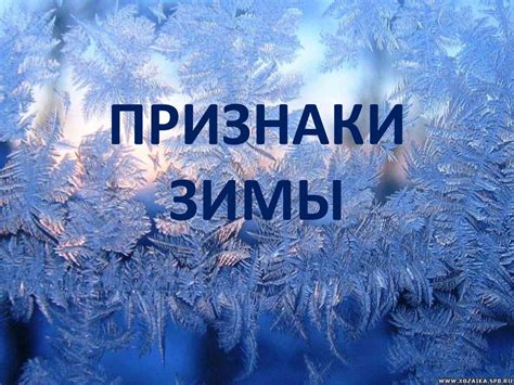 Снежная прелюдия: первые признаки зимы