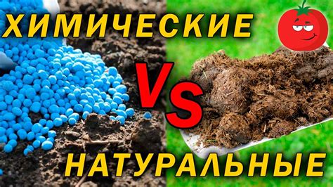 Снижение использования химических удобрений