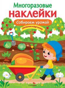 Собираем урожай летних георгинов: основные моменты