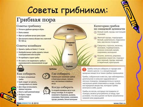 Советы для успешного сбора грибов в Архызе