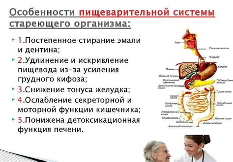 Советы и рекомендации по правильному солению сала