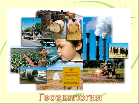 Современное состояние и развитие парка