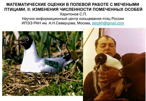 Современные изменения в полевой работе