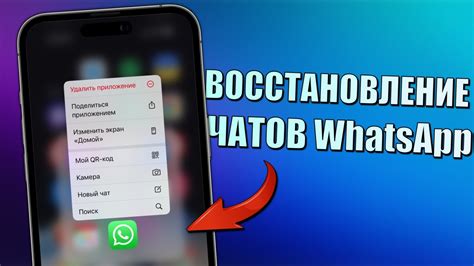 Способы проверки переписки в WhatsApp на мобильных устройствах