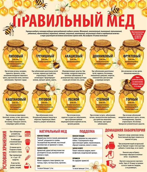 Способы хранения и потребления собранного меда