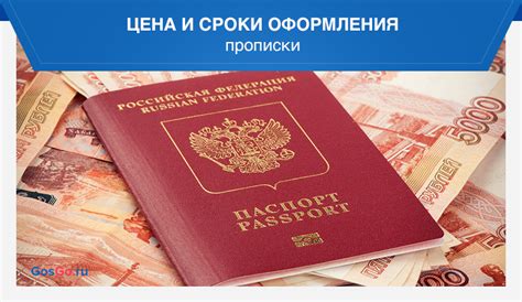 Сроки и стоимость оформления временной прописки в МФЦ