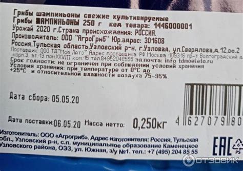 Сроки хранения и использования сушеных грибов