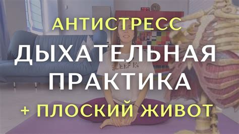 Стресс и живот