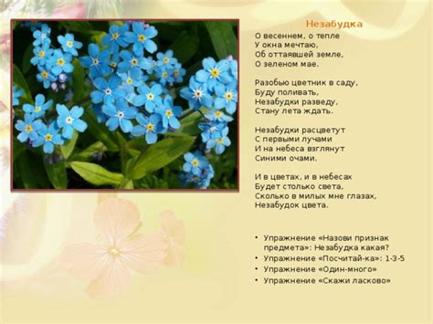 Строфы о тепле и цветах