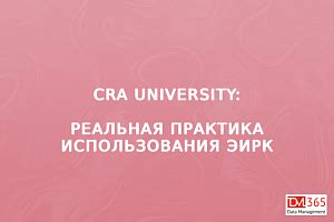 Субраздел 2: Реальная практика использования