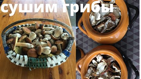Сушка грибов на батарее: эффективные способы