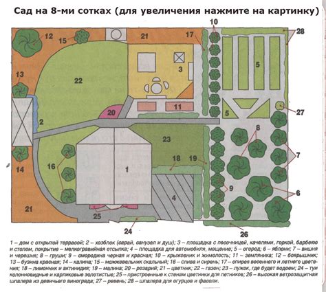 Схемы посадки и междурядья