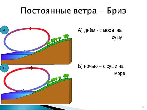 Тайны клёва во время ветра