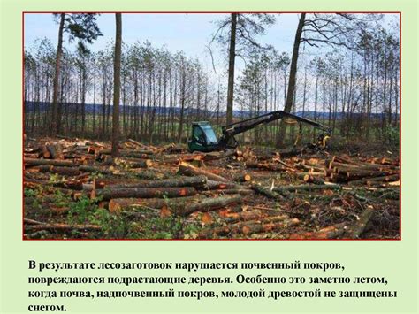 Уничтожение природных ресурсов и деградация почвы