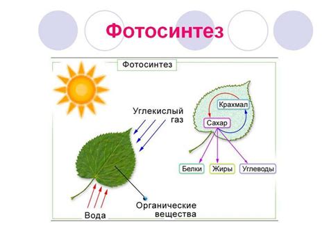Условия, необходимые для формирования льда