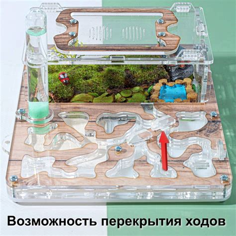 Установка второго выхода в формикарий