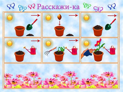 Уход за проволочником после посадки