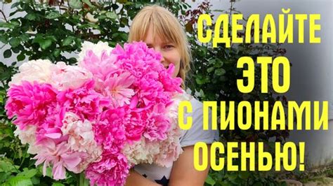Уход и подкормка