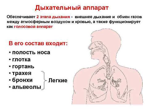 Ухудшение дыхательных процессов