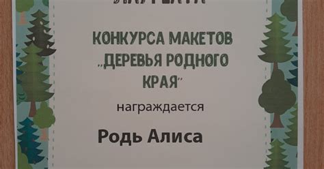 Участники и их достижения