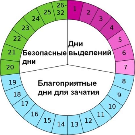 Фаза овуляции и ее особенности