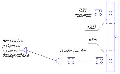Фазы выкапывания и обработки корней