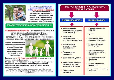 Факторы, влияющие на развитие девочек