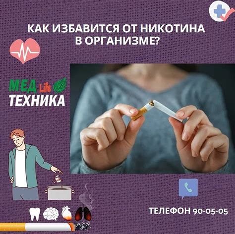 Факты о времени наличия никотина в организме