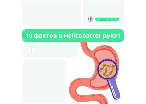 Факты о распространении Helicobacter pylori через поцелуй