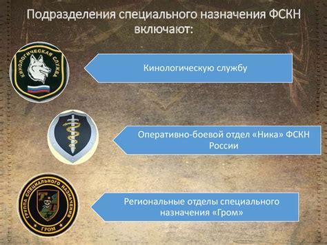 Федеральная служба контроля над оборотом наркотиков (ФСКН) в России: