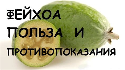 Фейхоа и ее полезные свойства при подагре