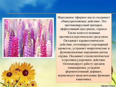 Ферментативный дефицит