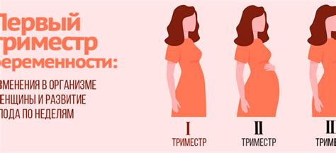 Физиологические изменения на 3 неделе беременности, связанные с токсикозом