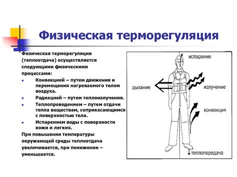 Физиологические реакции на щекотку