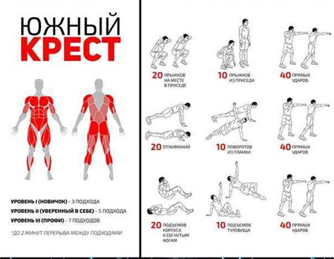 Физическая активность и ее роль в процессе сжигания жира