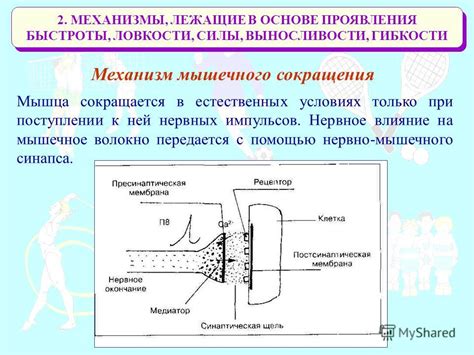 Физические причины, лежащие в основе упирания головы