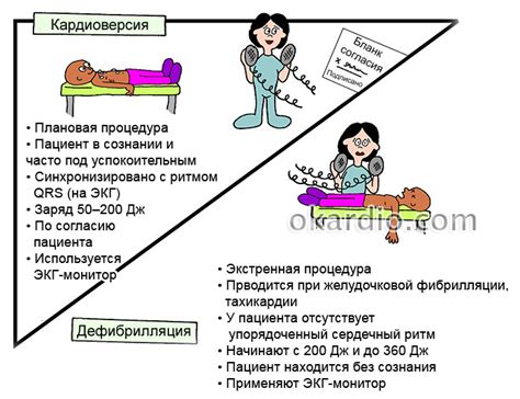 Флюорография: суть процедуры