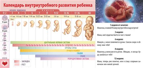 Формирование рогов у коз происходит еще в утробе матери