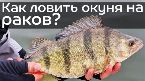 Цена разрешения на рыбалку на раков