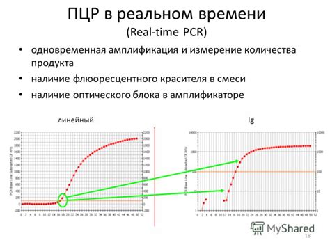 Частота повторного ПЦР