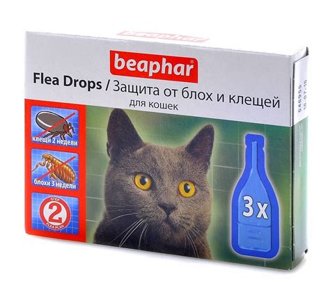 Частота применения капель от блох для котят