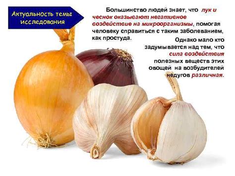 Чеснок: негативное воздействие